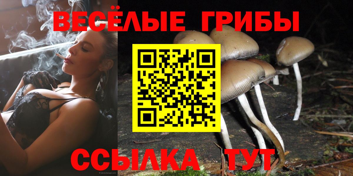 Псилоцибиновые грибы Psilocybine cubensis  Вход с VPN  Шали 