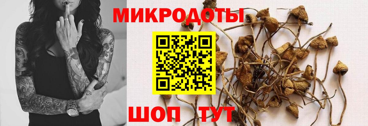 Галлюциногенные грибы мухоморы Шали
